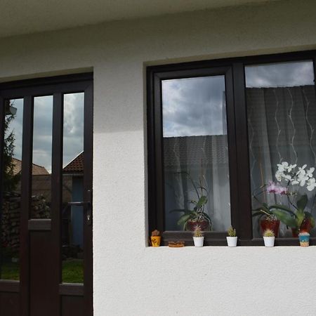Havasi Gyopar Bed & Breakfast Praid Exterior foto