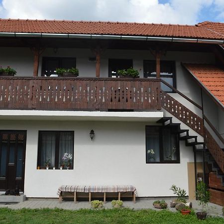 Havasi Gyopar Bed & Breakfast Praid Exterior foto