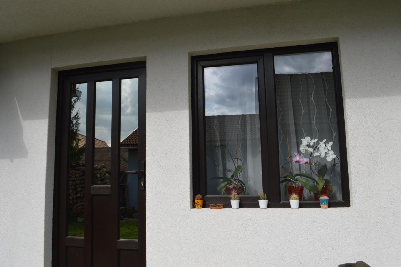Havasi Gyopar Bed & Breakfast Praid Exterior foto